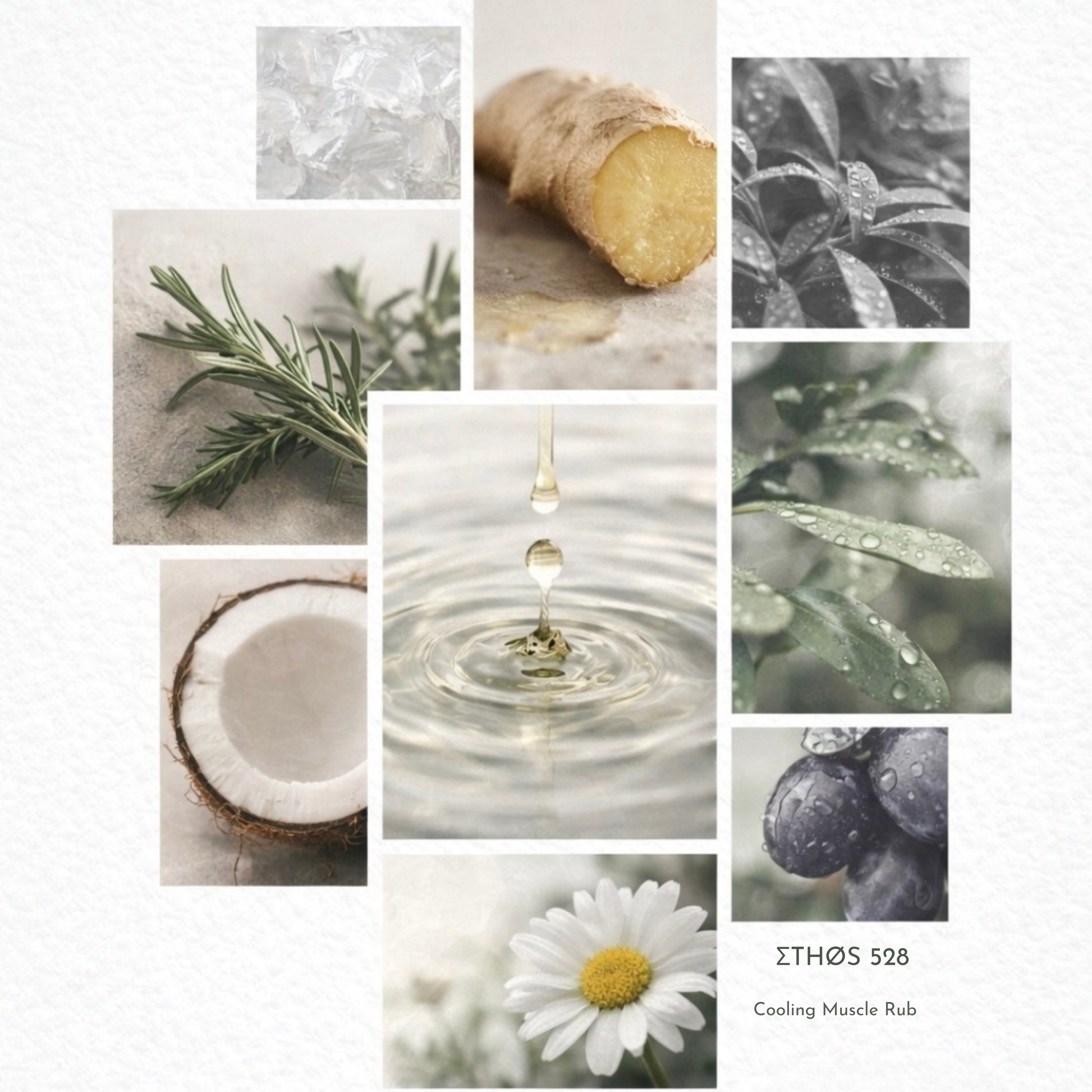 ETHOS 528 sauna muscle rub botanical ingredients, ginger oil, peppermint, eucalyptus, coconut oil