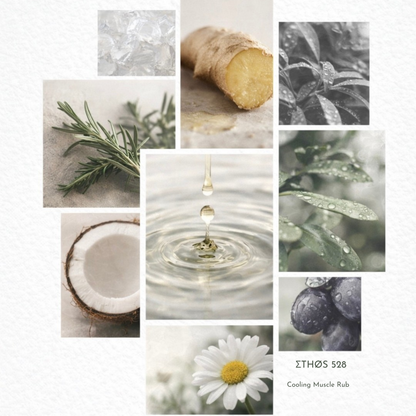 ETHOS 528 sauna muscle rub botanical ingredients, ginger oil, peppermint, eucalyptus, coconut oil